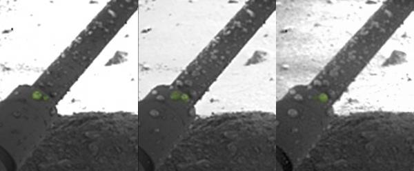 Click to enlarge Mars Phoenix lander