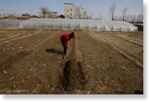 Alabama farm