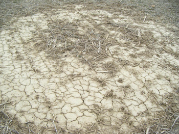 Click to enlarge Indiana field depression