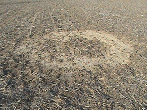 Click to enlarge Indiana field depression II