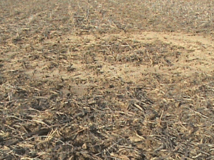 Click to enlarge Indiana field depression III