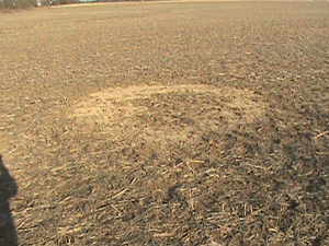 Click to enlarge Indiana field depression IV