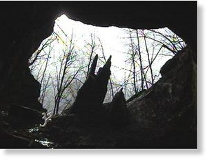 Bat cave