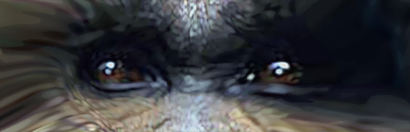Eyes
