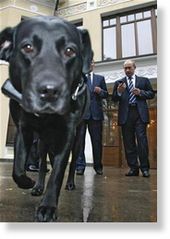 Koni Putin's Dog