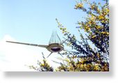 UFO Hoaxes 1