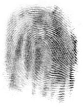 Fingerprint