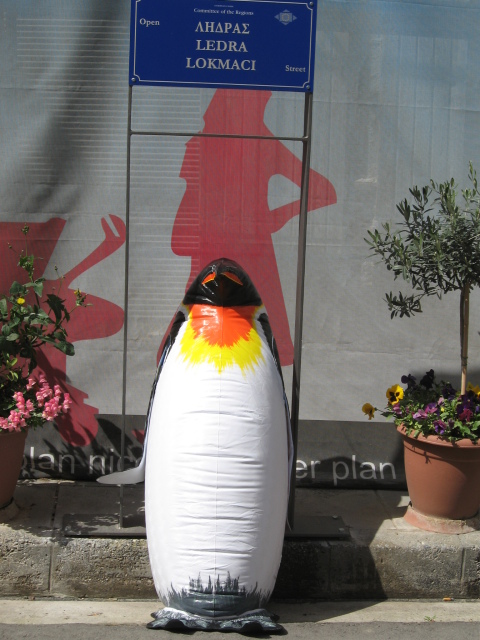Click to enlarge PG in Nicosia 4