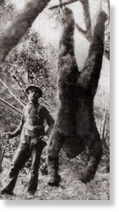 Dead Bigfoot