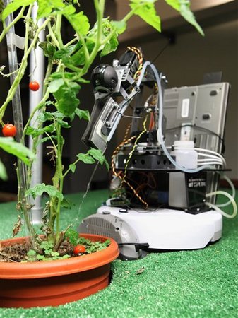Tomato-tending droid