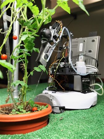 Tomato-tending droid