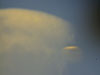 Click to enlarge California orb II