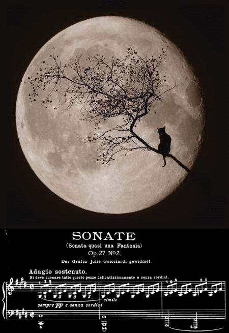 Click to enlarge moonlight_sonata