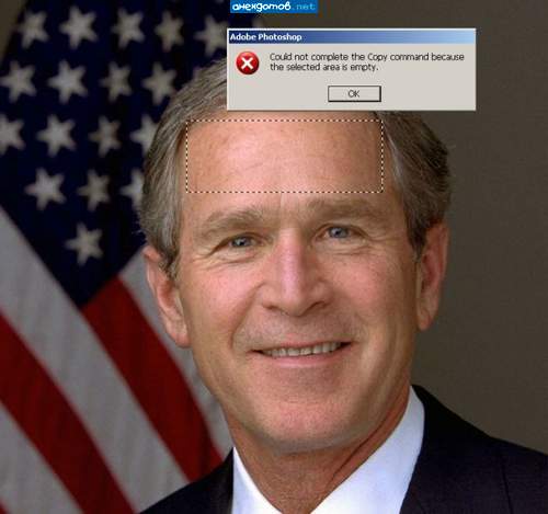 Click to enlarge Bush-Empty Area