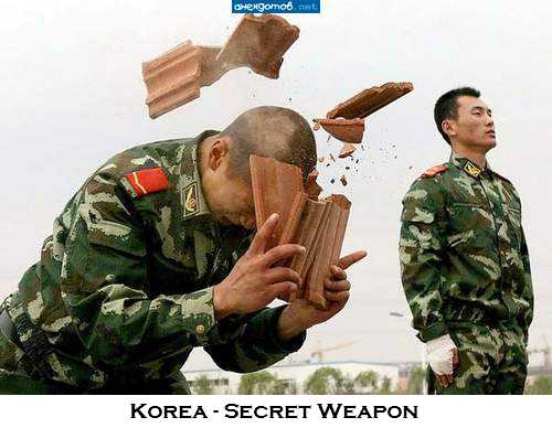 Click to enlarge Korea Secret Weapon