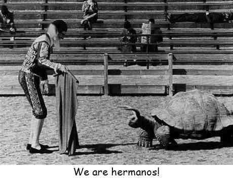Click to enlarge We are hermanos