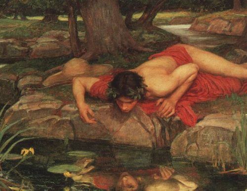 Narcissus