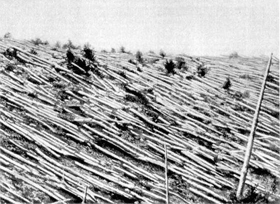 Tunguska