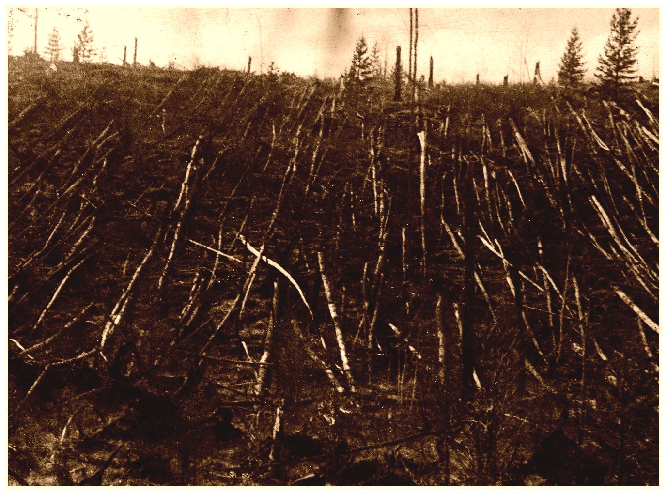 Tunguska, Psychopathy and the Sixth Extinction -- Earth Changes -- Sott.net