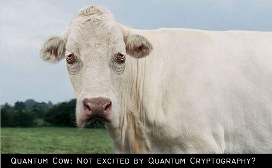 Click to enlarge Quantum_cow