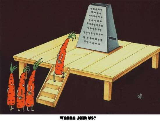 Click to enlarge Carrots - Schenko