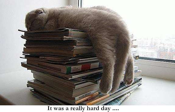 Click to enlarge Hard Day