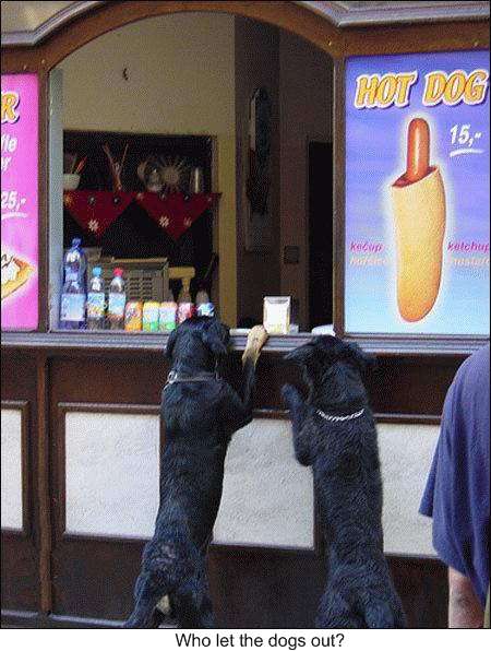 Click to enlarge hot_dogs