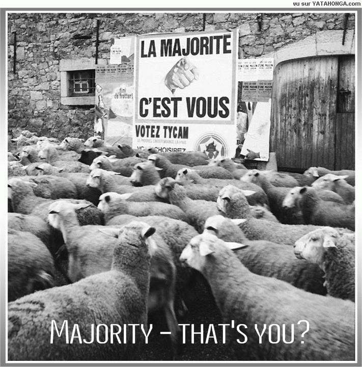 Click to enlarge Majority