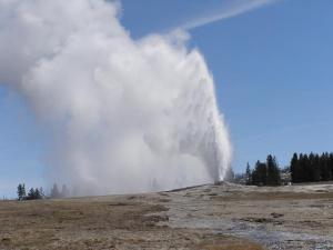 Old Faithful 