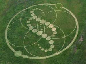 Crop circle Korea 1