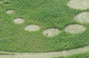 Crop circle Korea 2