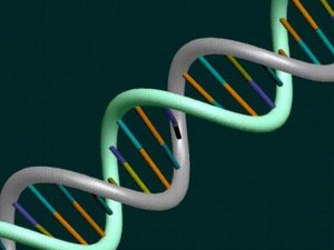 Click to enlarge DNA