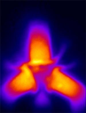 Click to enlarge Excitons