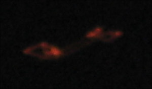 Click to enlarge Image