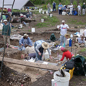 gault excavations