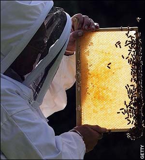 Beekeeper