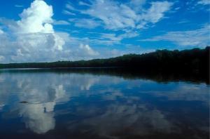 Amazon River