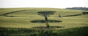 crop circle