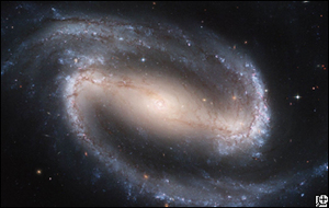 Barred Galaxy NGC 1300