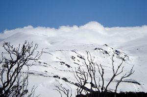 Snow in Australia