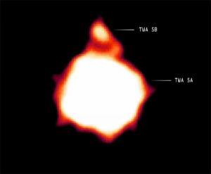 brown dwarf orbiting a young binary star 