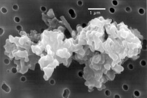 chondrite interplanetary dust particle