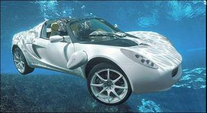 Rinspeed