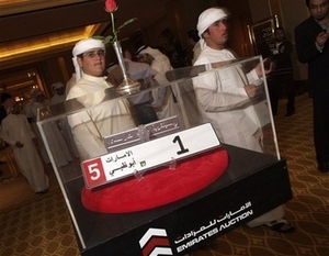 UAE vanity plate