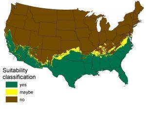 pythons native range 