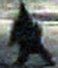Gnome