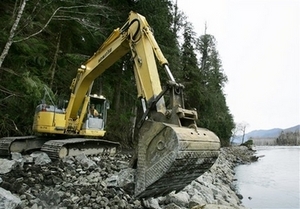 Pacific NW crane