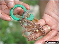 Click to enlarge Plastic Diet 3