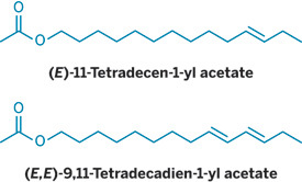 Click to enlarge Image