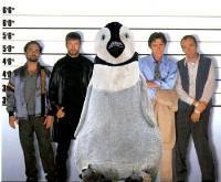 percy the penguin